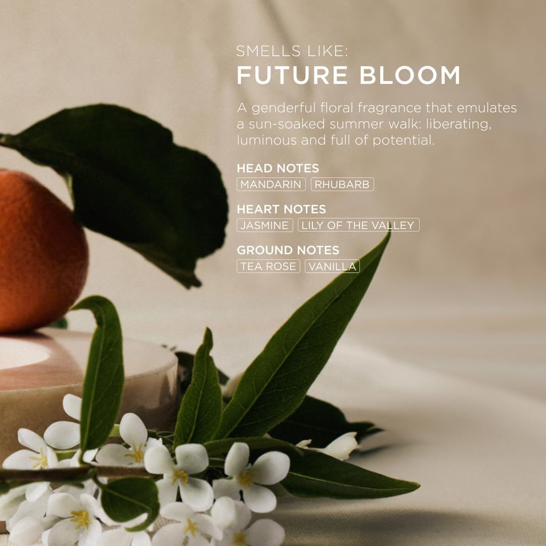 Arkive All Day Everyday Conditioner